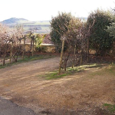 Les Pierres Blondes Apartman Montpeyroux  Kültér fotó