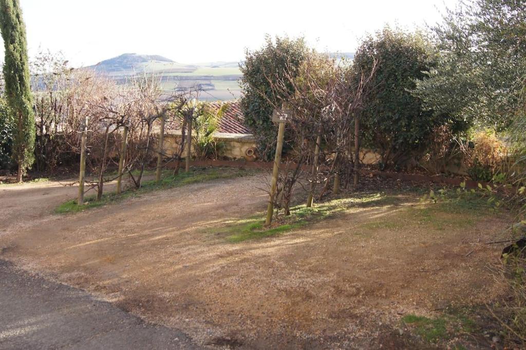 Les Pierres Blondes Apartman Montpeyroux  Kültér fotó